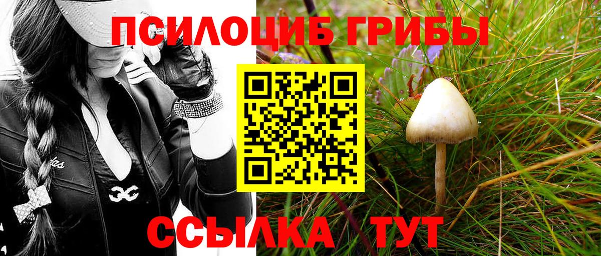 Галлюциногенные грибы мухоморы  Галлюциногенные грибы Psilocybine cubensis  Вход с VPN  Мичуринск 