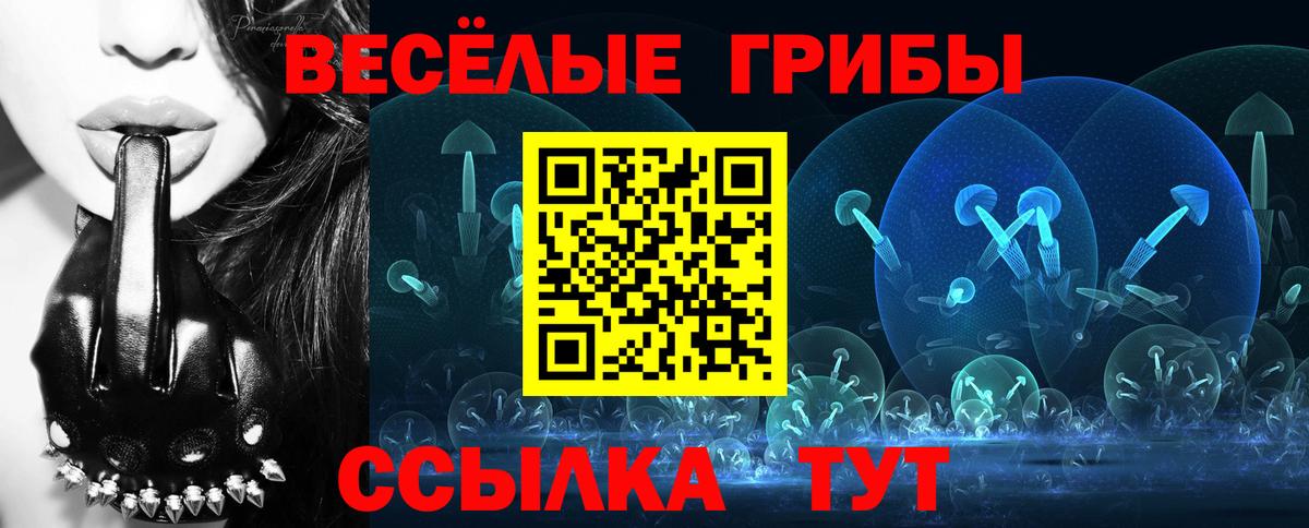 Псилоцибиновые грибы ЛСД Мичуринск